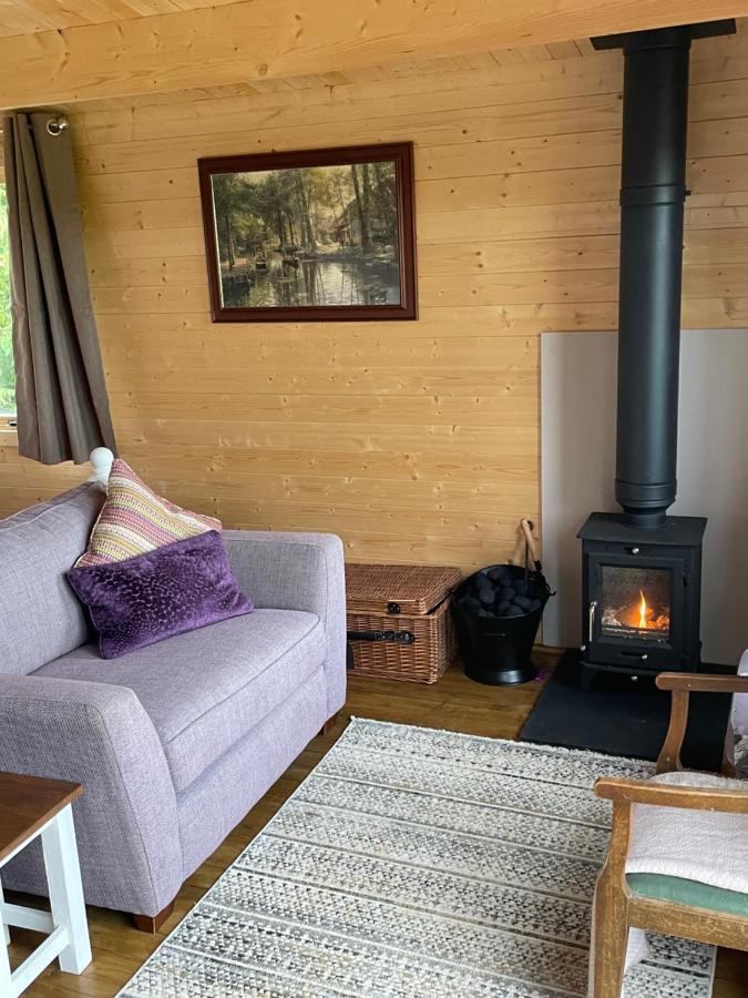 Cosy Cabin In Annie'S Meadow West Meon 외부 사진